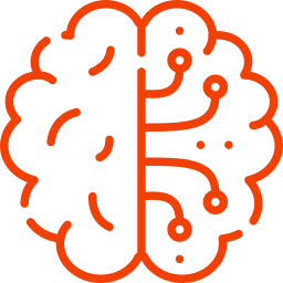 brain